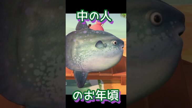 ダジャレネタ多め？ #あつ森 #あつまれどうぶつの森 #ゲーム実況 #shorts