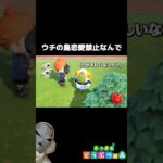 勝手に三角関係 #ゲーム実況 #あつ森 #あつまれどうぶつの森 #どう森 #どうぶつの森 #切り抜き #shorts