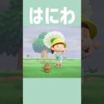 [あつ森]今日のはにわ #あつまれどうぶつの森 #shorts