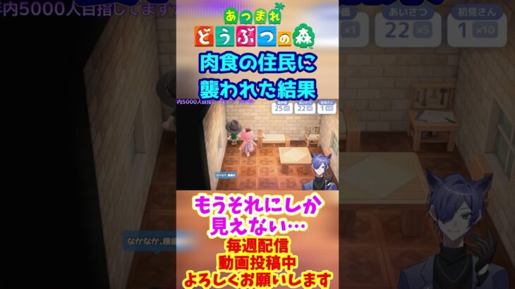 ネーヤに狙われる配信者 #あつ森 #あつまれどうぶつの森 #島クリ #shorts