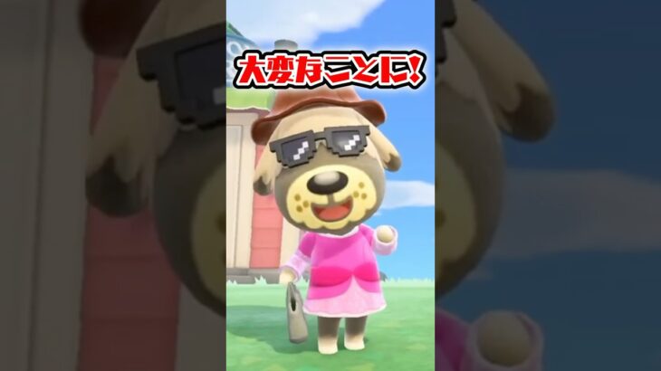 ビックリ仰天！プリンセスになったボブくん【あつ森】 #shorts #あつ森 #あつまれどうぶつの森 #AnimalCrossing #切り抜き #ゲーム実況