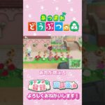 【あつ森】リスナー様からの貢ぎ物　#shorts   #animalcrossing