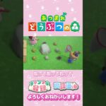 【あつ森】ミミィちゃんの虫取り　#shorts   #animalcrossing