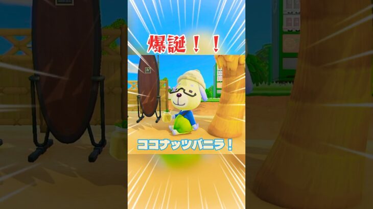 【あつ森】ココナッツバニラ！爆誕！？🥥#あつ森 #shorts #nintendo