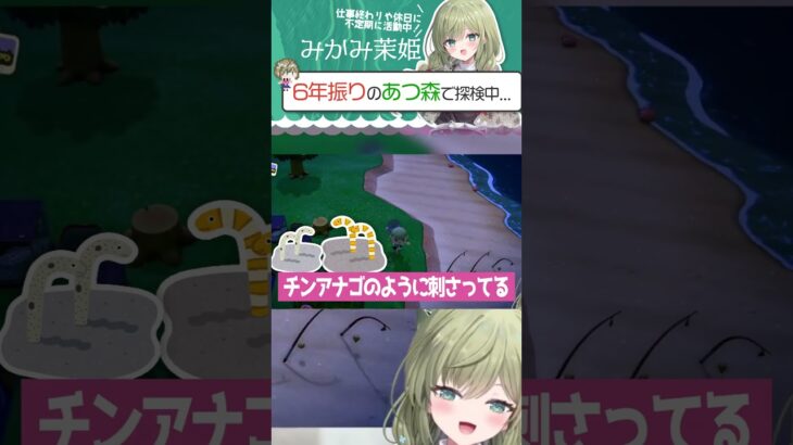 あつ森でチンアナゴが！？  #shorts #個人v #切り抜き あつまれどうぶつの森 #vtuber #切り抜き
