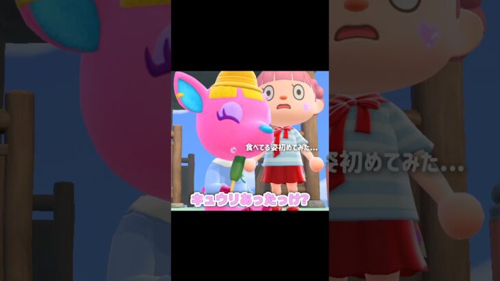 キュウリの一本漬けがあれば、ちゃちゃまるも…？！？！#あつ森 #どうぶつの森 #あつまれどうぶつの森 #どう森 #shortvideo #shorts #short #あつ森キュウリ#キュウリ