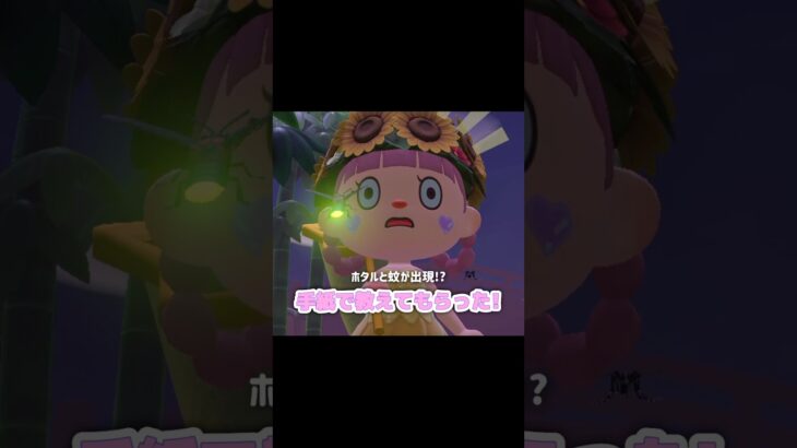 うぃ～って手をパァー…？！？！#あつ森 #どうぶつの森 #あつまれどうぶつの森 #どう森 #shortvideo #shorts #short #ホタル #カ