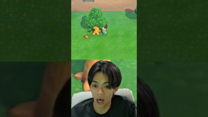 【どうぶつの森をほぼ初めてやる男】 #ゲーム実況 #あつ森 #どうぶつの森 #switch