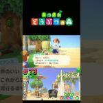【あつまれ どうぶつの森】完成！波打ち際の洒落たバー#ゲーム実況 #switch  #あつ森 #どうぶつの森 #あつまれどうぶつの森 #shorts  #switch2