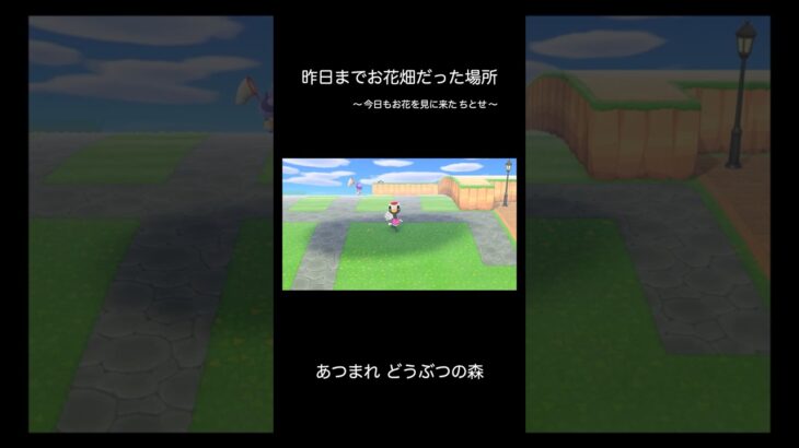 【あつ森】お花畑の跡地