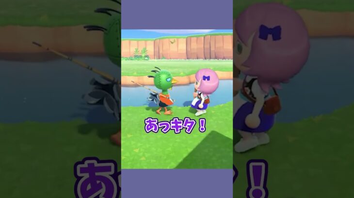 本気で嫌がられました… #あつ森  #あつまれどうぶつの森  #女性ゲーム実況