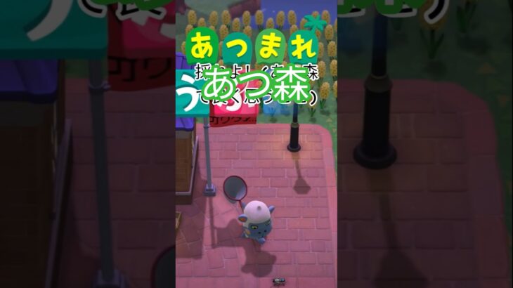 採れよ！ #あつ森 #ゲーム