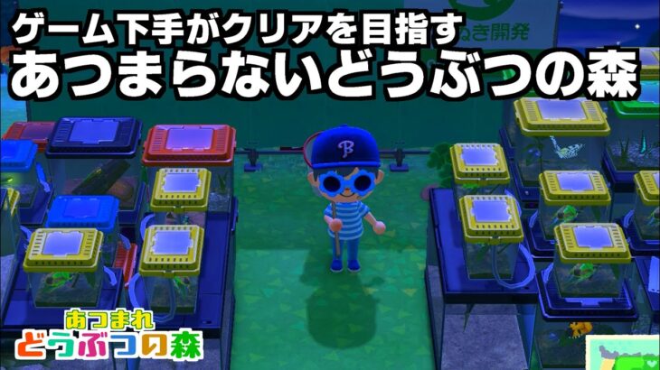 ずっと汚い島のあつ森【あつまれどうぶつの森実況】＃配信