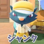 【あつ森】久々のシャンク！！コーデ作りに挑戦だー🔥 #あつ森 #ゲーム #ゲーム実況