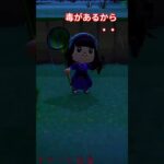 今日は生き残れるか？ #あつ森 #切り抜き #あつまれどうぶつの森