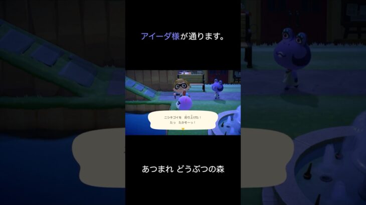 【あつ森】アイーダ様が通ります。