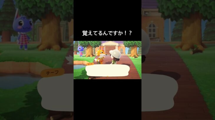 もう住みません！？[あつ森]