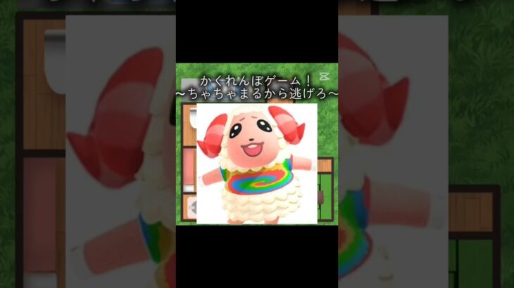 今回はちゃちゃまるとかくれんぼ！ #あつ森 #あつまれどうぶつの森