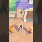 【あつ森】新住民登場！！思ってた以上に馴染んでた。笑