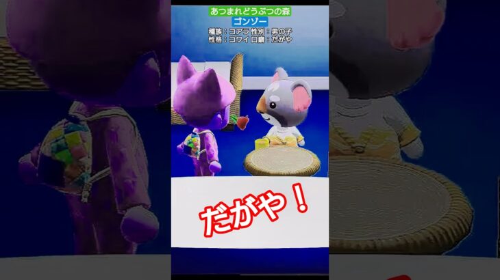 【#あつ森 】ゴンゾー【#あつまれどうぶつの森 】