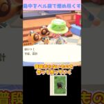 【あつ森】≪島中を💰≫　またやっちゃった💦