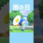 [あつ森]素敵なプレゼントだ☂️🌼 #あつまれどうぶつの森