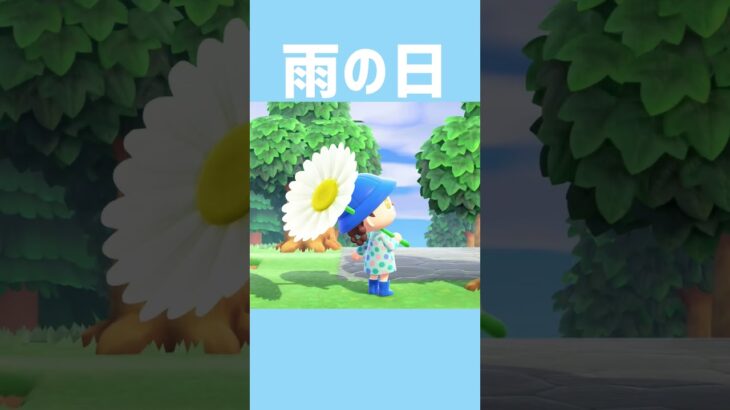 [あつ森]素敵なプレゼントだ☂️🌼 #あつまれどうぶつの森