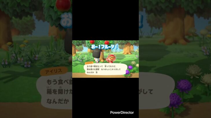 【実家から】 #あつ森 #あつまれどうぶつの森