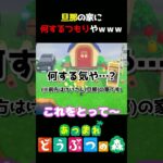 【あつ森】けいさん(旦那)の家に愛情をプレゼントｗｗｗ