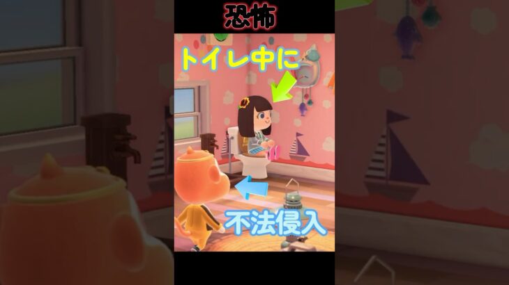 トイレ中で悲劇が待ち受ける #あつ森