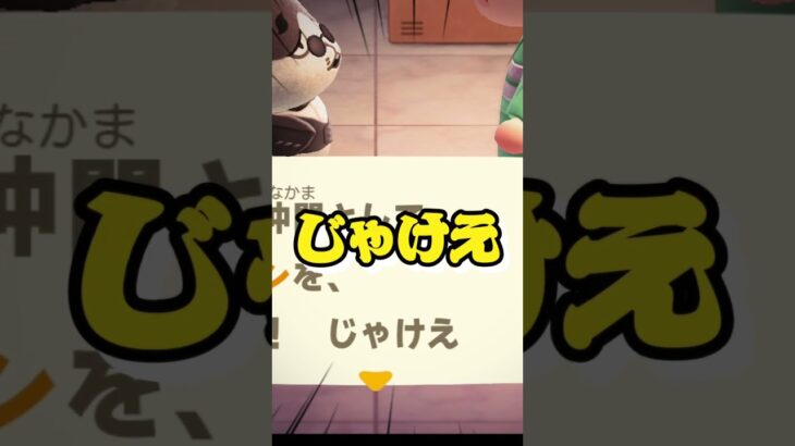 【あつ森】ﾄﾞﾝﾁｬﾝが引っ越してきたゾ！