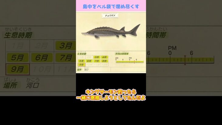 【あつ森】≪島中を💰≫　終わったと思ってたのに
