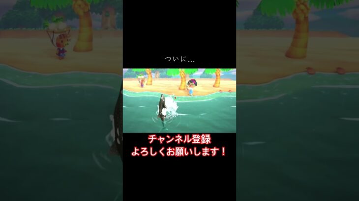 【あつ森】ついにキタ！？#あつまれどうぶつの森 #あつ森 #どうぶつの森 #実況プレイ