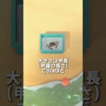 【あつ森】シャンハイガニの観察🦀