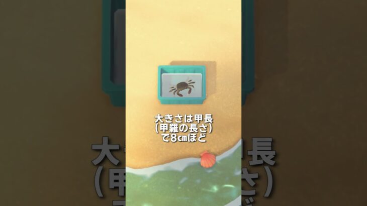 【あつ森】シャンハイガニの観察🦀