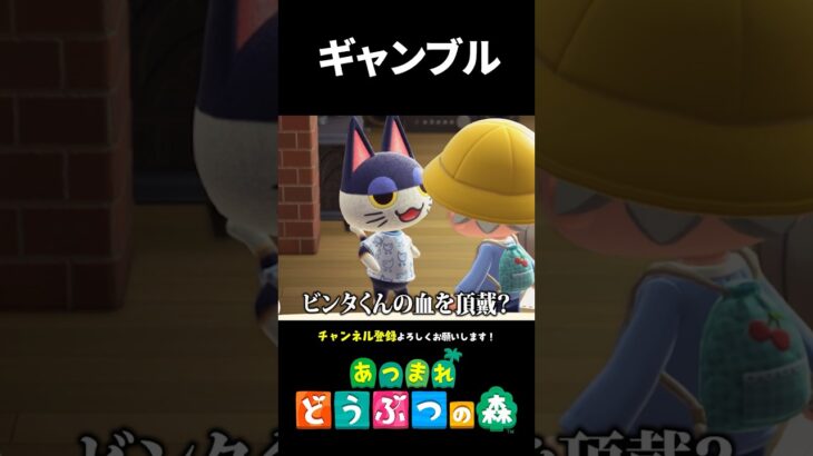 【あつ森】血を賭けたギャンブルをやった結果