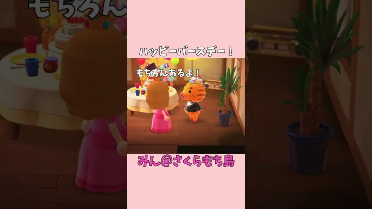【あつ森】ボルトも一緒に！みんなでルンルン誕生日パーティー✨