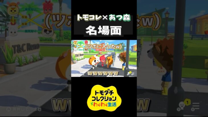 【トモコレ】ハムちゃんずに紛れるリック！？あつ森住民達の行動が面白すぎる！