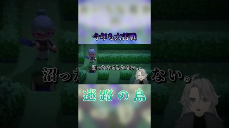 【#あつ森実況 】毎年恒例、激ムズ迷路