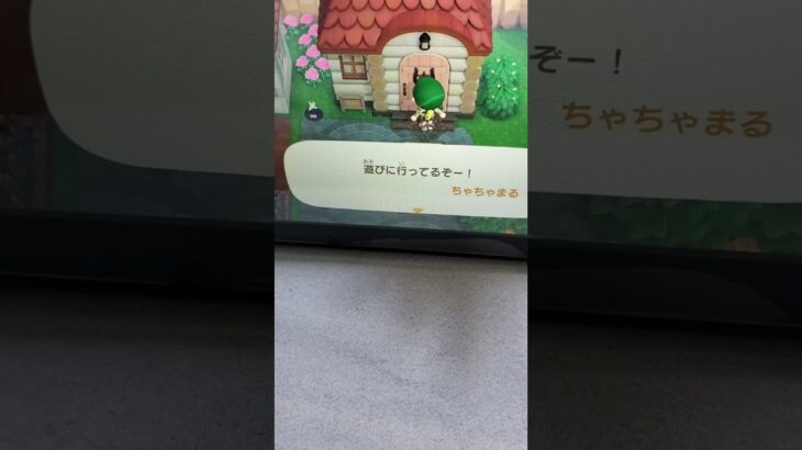 蜂から逃げるぞ～っ！！#あつ森