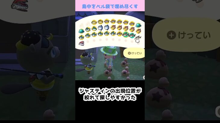 【あつ森】≪島中を💰≫　ラストスパート🐟