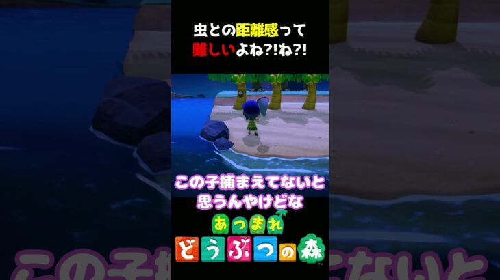 【あつ森】虫との距離感が未だにわからないですｗｗｗ