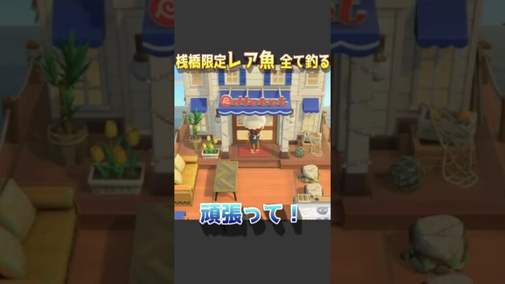 🔵【あつ森】まき餌なしで桟橋限定レア魚全て釣る🐟｜シイラ｜ロウニンアジ｜マグロ｜カジキ｜#あつ森 #小技