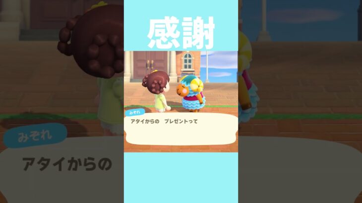 [あつ森]こちらこそいつもありがとうだよ🌷 #あつまれどうぶつの森
