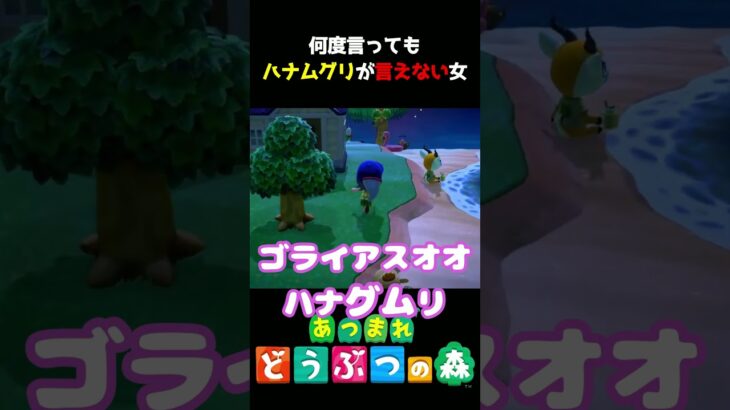 【あつ森】みんなはハナムグリって言える?