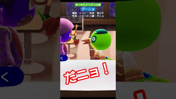 【#あつ森 】ジーニョ【#あつまれどうぶつの森 】