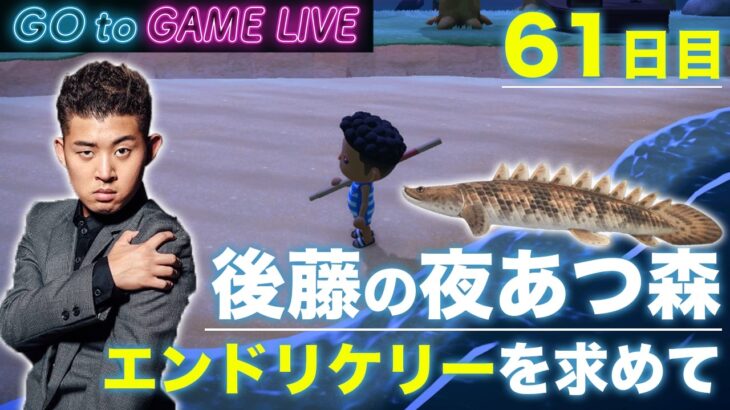 【後藤の夜あつ森】金曜夜はご島で過ごしましょう
