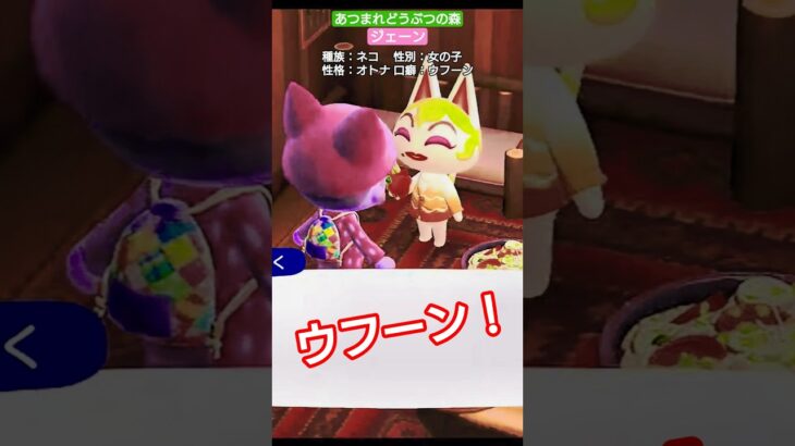【#あつ森 】ジェーン【#あつまれどうぶつの森 】