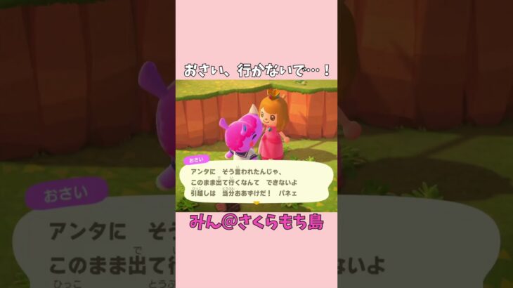 【あつ森】おさいが行っちゃう…！？寂しいから全力で引き止めたよ🥺💕