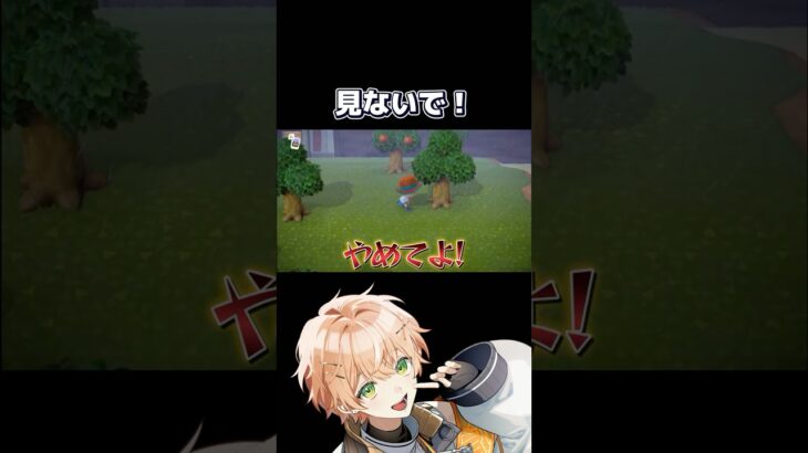 【あつ森】見ないで！！！！